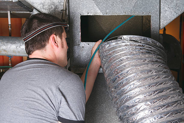 Best Air Duct Mold Removal  in Delphi, IN