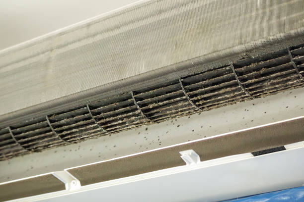 Best Air Duct Cleaning Near Me  in Delphi, IN